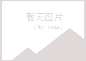 兴山区心事工程有限公司